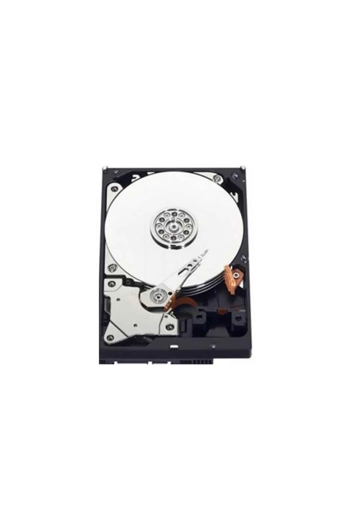 Genel Markalar 1 TB Seagate-WD 3.5 İNÇ 7/24 7200RPM Kurumsal Güvenlik Harddiski