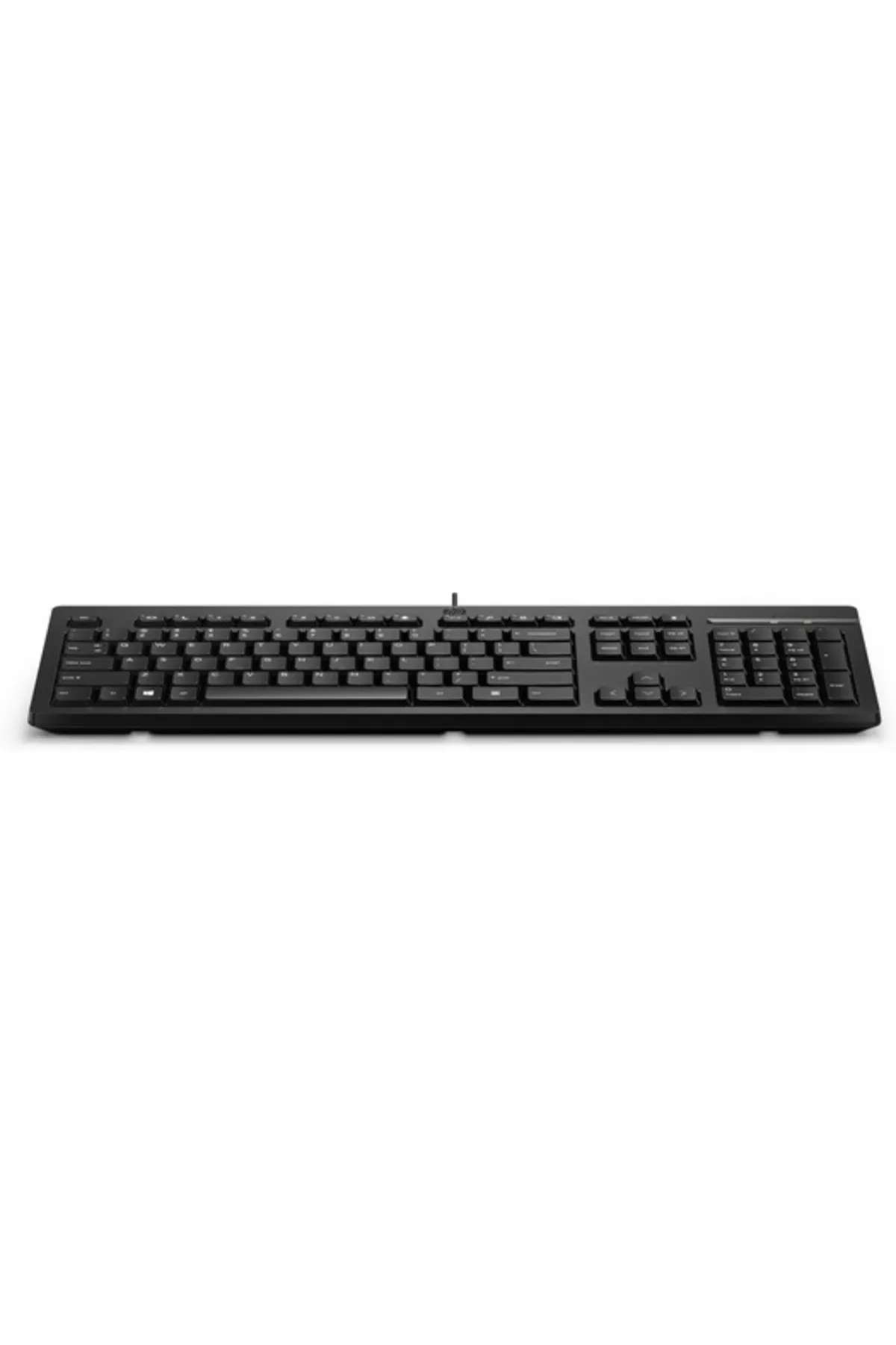 HP 125 Wired Keyboard (266C9AA)