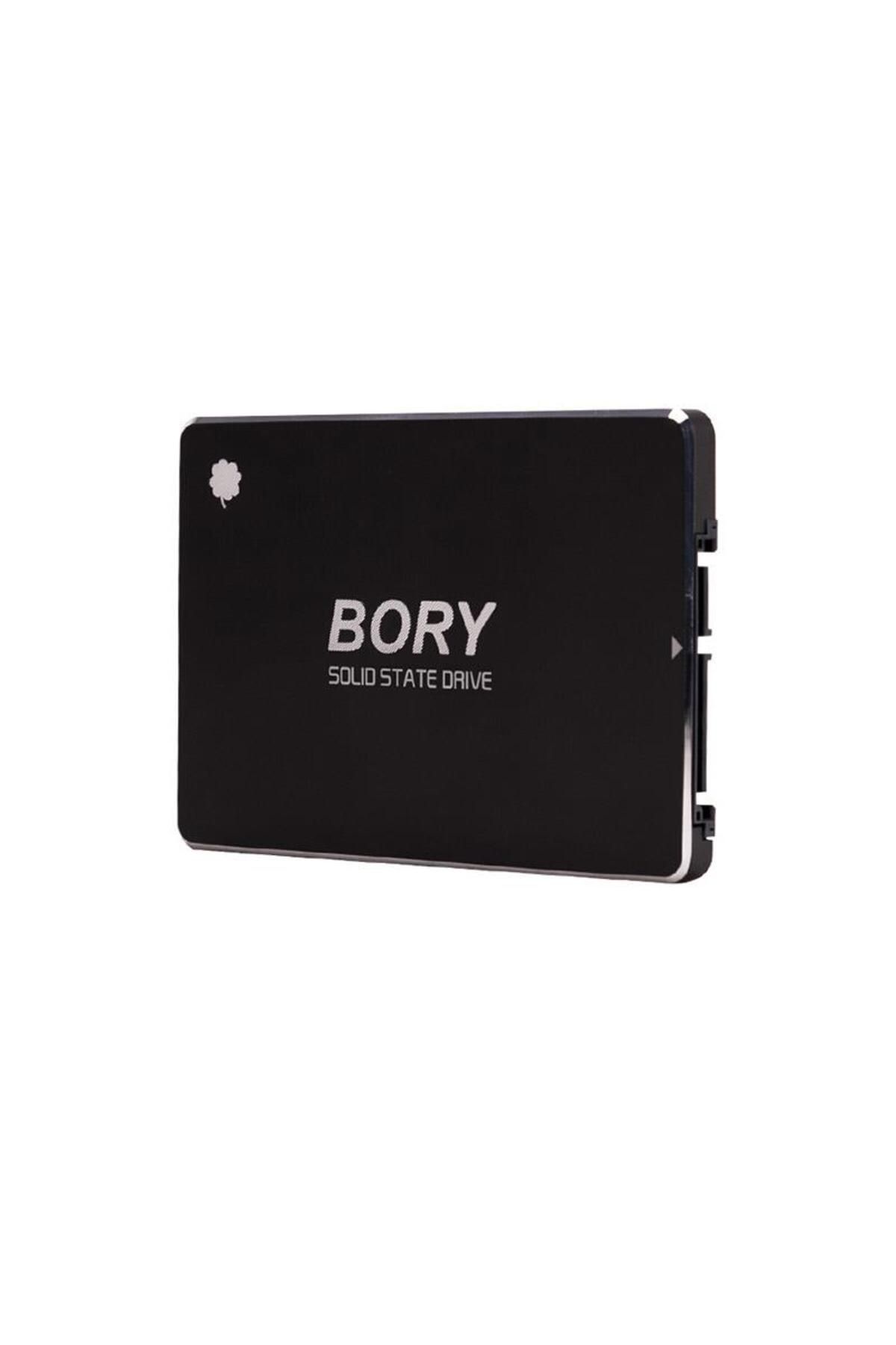 BORY 256 GB BORY SATA3 R500-C256G SSD 550/510 MBS (3 YIL GARANTİLİ)