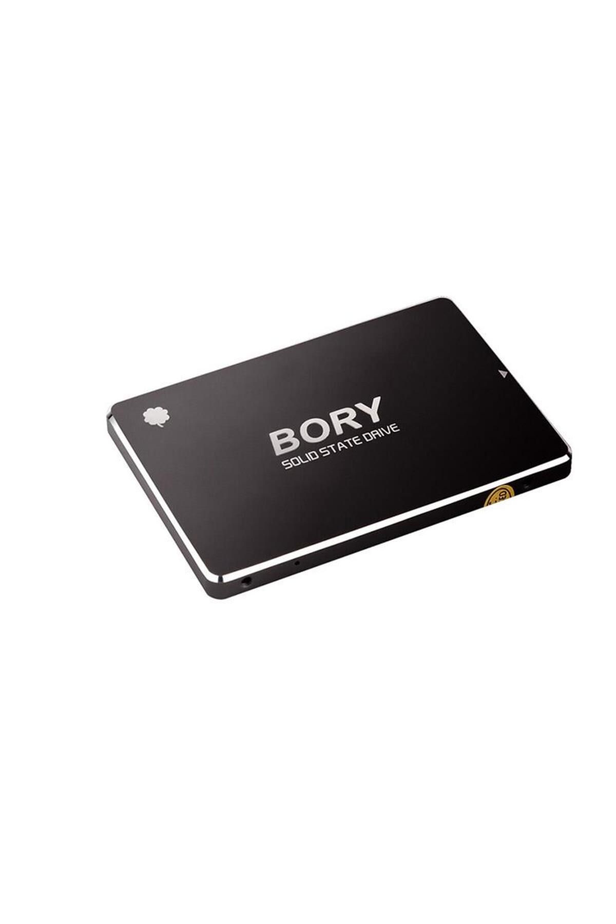 BORY 256 GB BORY SATA3 R500-C256G SSD 550/510 MBS (3 YIL GARANTİLİ)