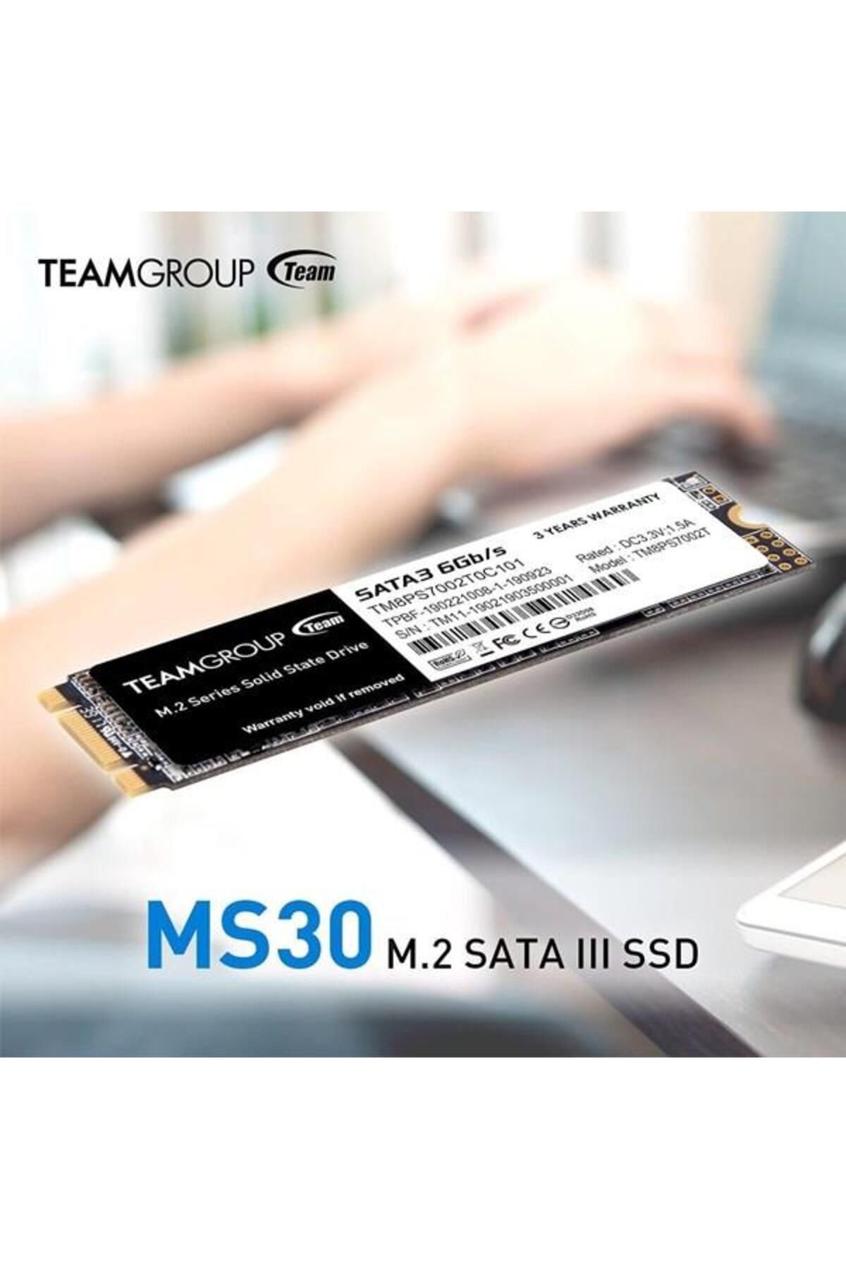 TEAM 256gb Ms30 Tm8ps7256g0c101 500- 300mb/s M2 Sata-3 Disk