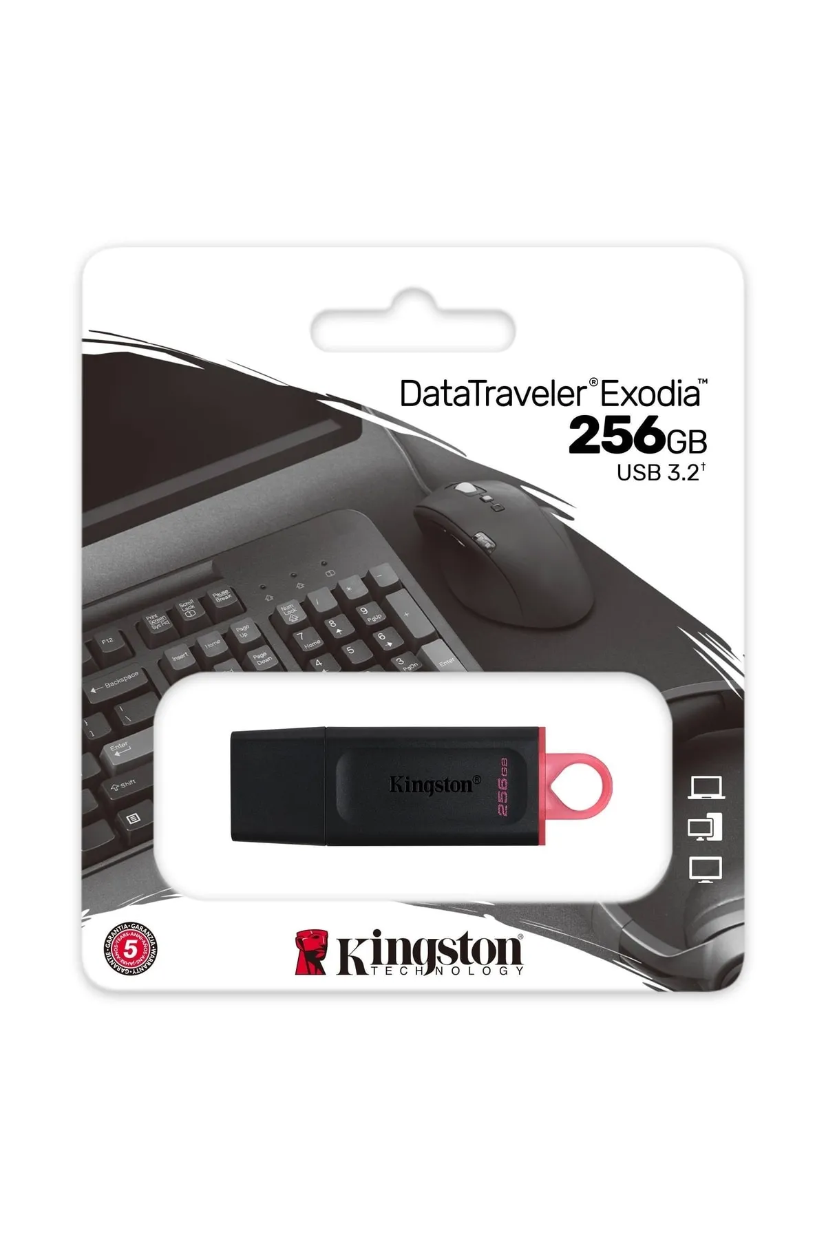 Kingston DTX 256GB USB 3.2 Gen.1 Flash Bellek DataTraveler Exodia DTX/256 USB Bellek