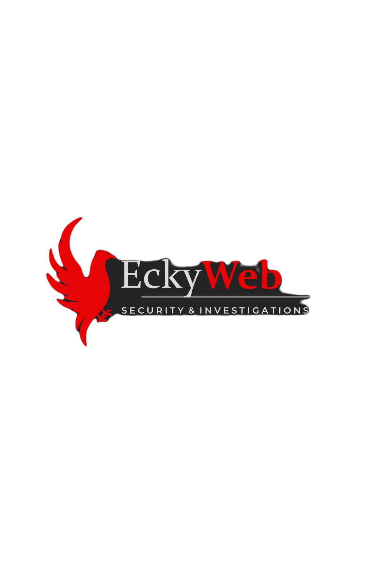 PHP Eckyweb Doktor Yazılımı Tüm Sektörlere Uygundur