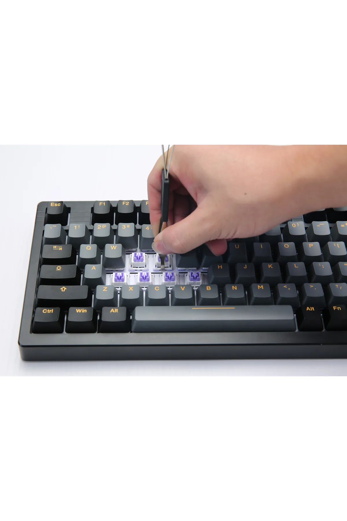 DAREU EK75 Pro - Kablosuz Mekanik Oyuncu Klavyesi - RGB - Dream Switch-HotSwap- PBT Tuş Takımı