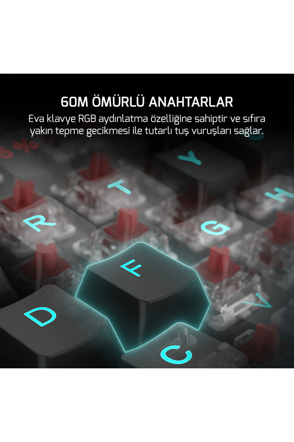 Gamepower Eva 7 60m Mekanik Kablolu, 2.4ghz, Bluetooth 3 Mod Blue Switch Türkçe Q Usb Rgb Klavye