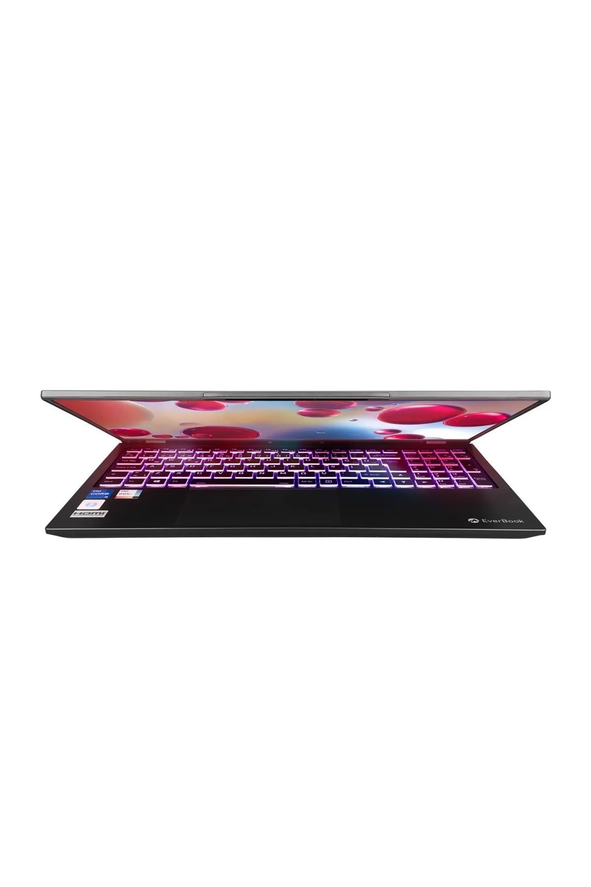 Everest Everbook G7 Core i5 1135G7 32GB DDR4 RAM 480GB M.2 SSD 15.6" iPS Usb 3.2 RGB Klavye Dizüstü Laptop