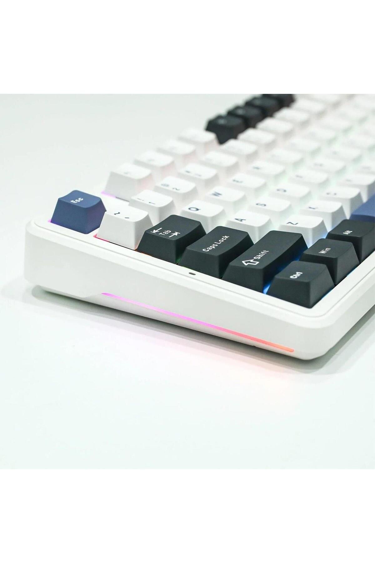 Aula F87 Mekanik Rgb Tkl Graywood V3 Switch Kablosuz Makrolu Hot Swap Klavye Beyaz