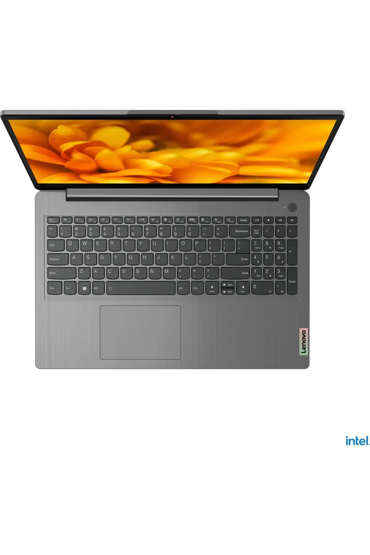 Lenovo IdeaPad 3 15IAU7 Intel Core i3 1215U 8 GB 256 GB SSD  Windows 11 Home 82RK00XATXAR13