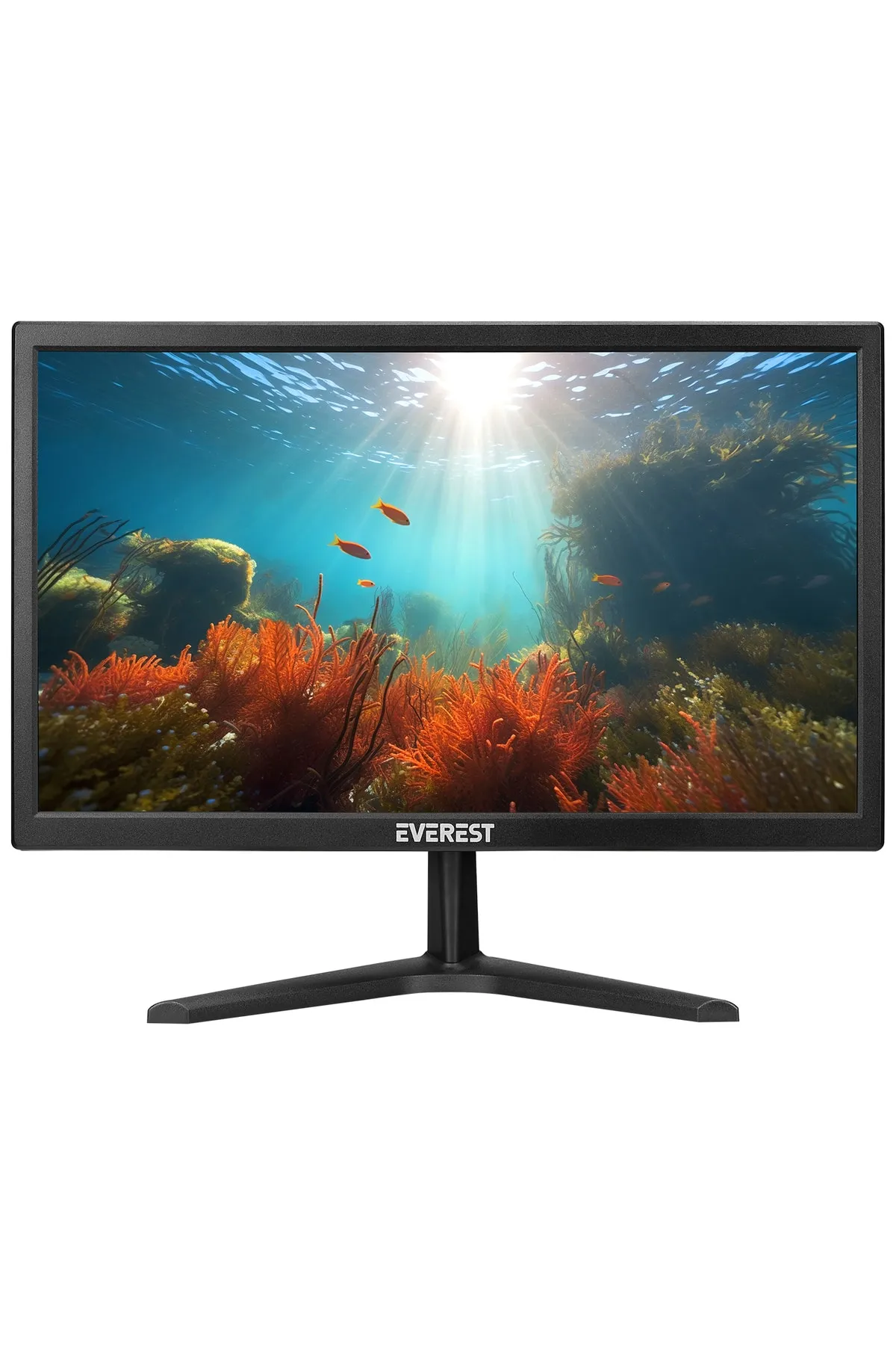 Everest M665 19.5 75Hz HD 1600*900 VGA+HDMI PC Led Monitör