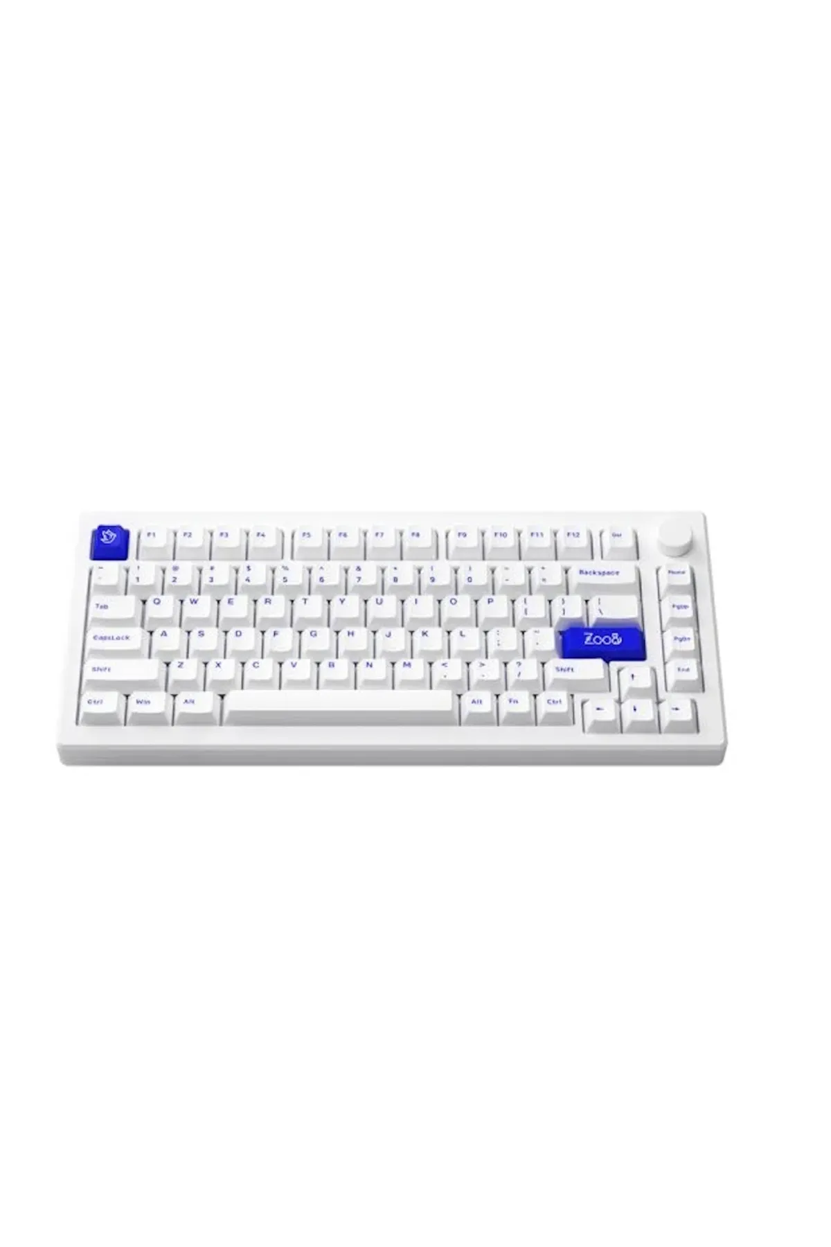 AKKO MOD 007B PC Blue on White RGB Kablosuz Hotswap Mekanik Gaming Klavye