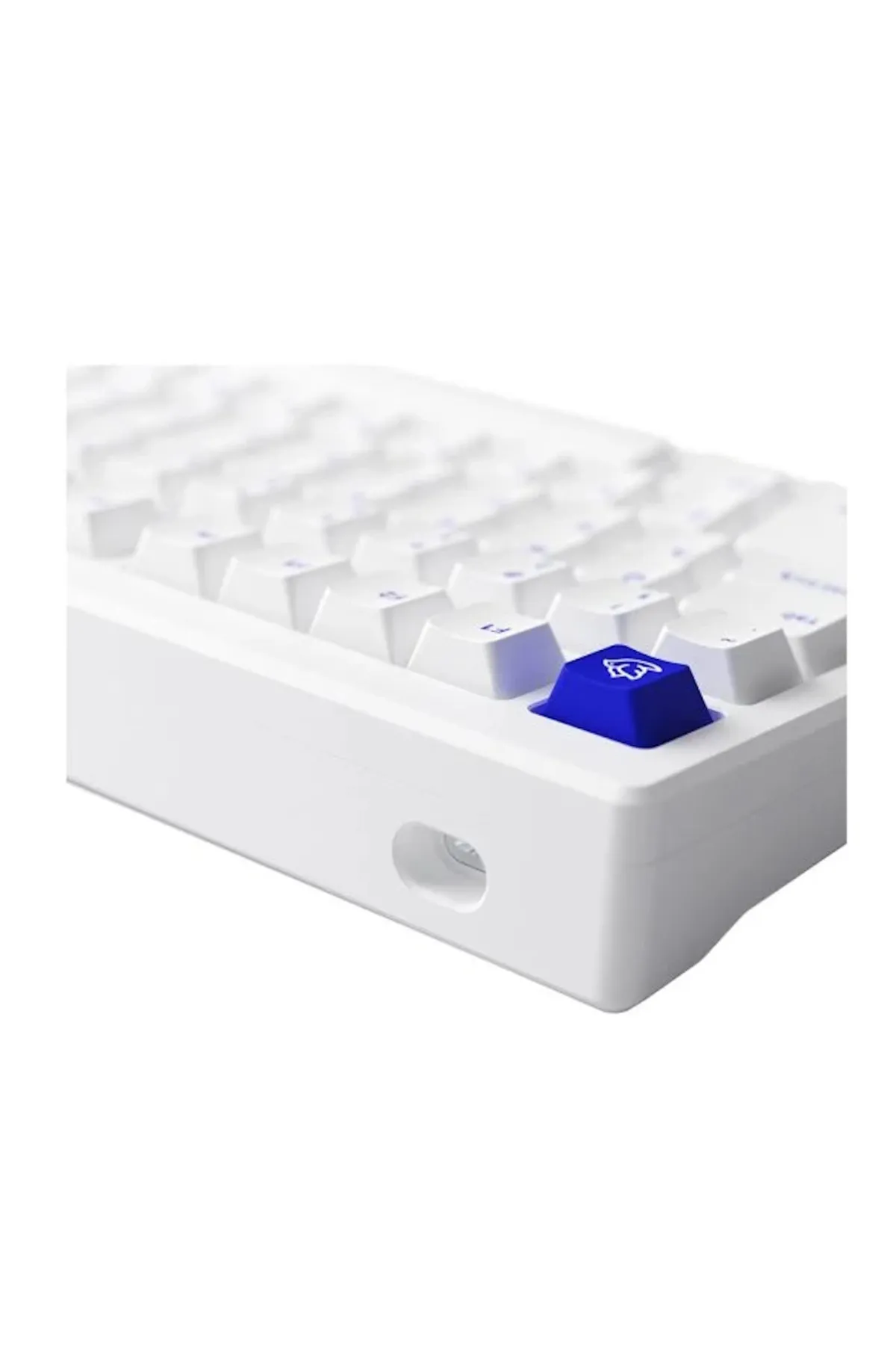 AKKO MOD 007B PC Blue on White RGB Kablosuz Hotswap Mekanik Gaming Klavye