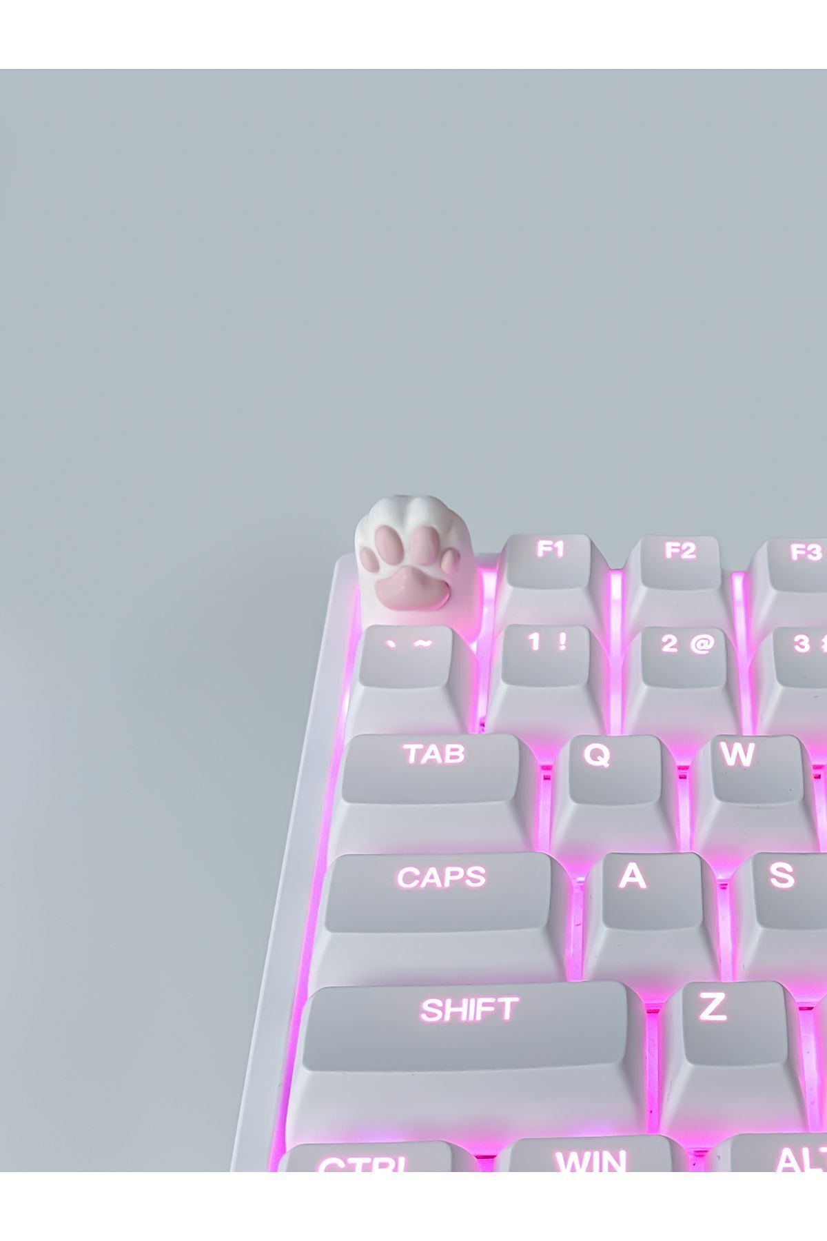 buffed Paw Five Mekanik Klavye Tuşu Artisan Keycaps Gamer Aksesuar Beyaz