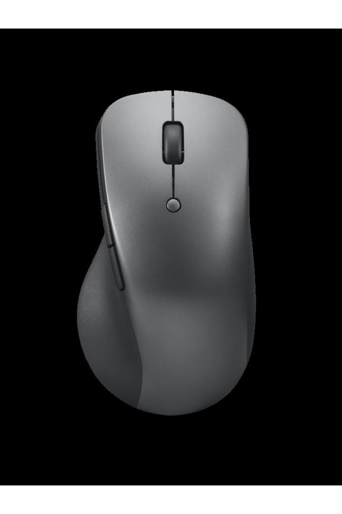 Lenovo Professıonal Kablosuz Mouse 4y51j62544