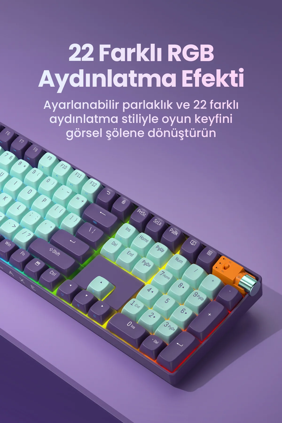 ROYALAXE R108 PRO Gaming Mekanik Oyuncu Klavyesi, RGB Aydınlatma, Kablolu ve Kablosuz Kullanım, İngilizce Q