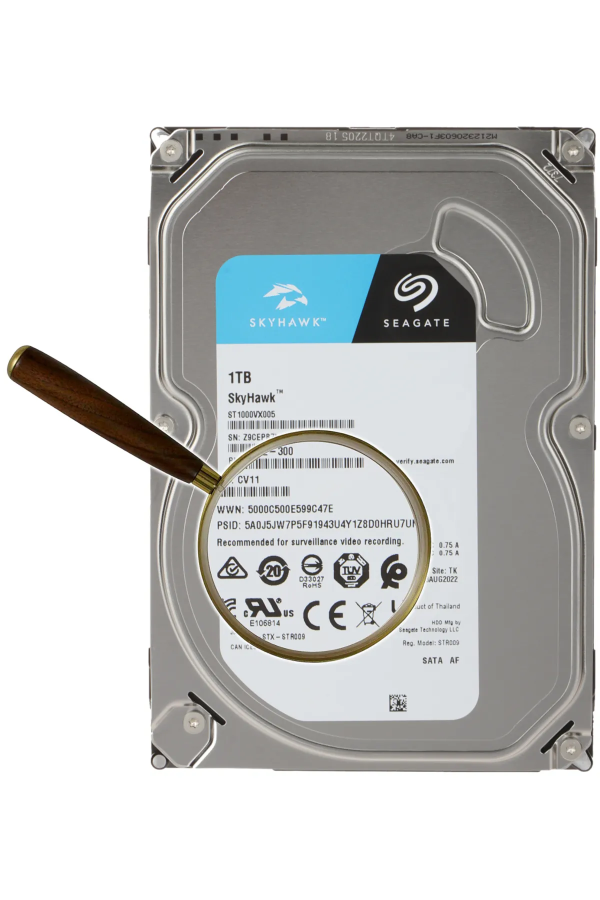 Seagate Skyhawk  1 Tb 3.5 Sata 5400RPM 256MB 7/24 Guvenlık ST1000VX013 (Resmı Dıst Garantılı)