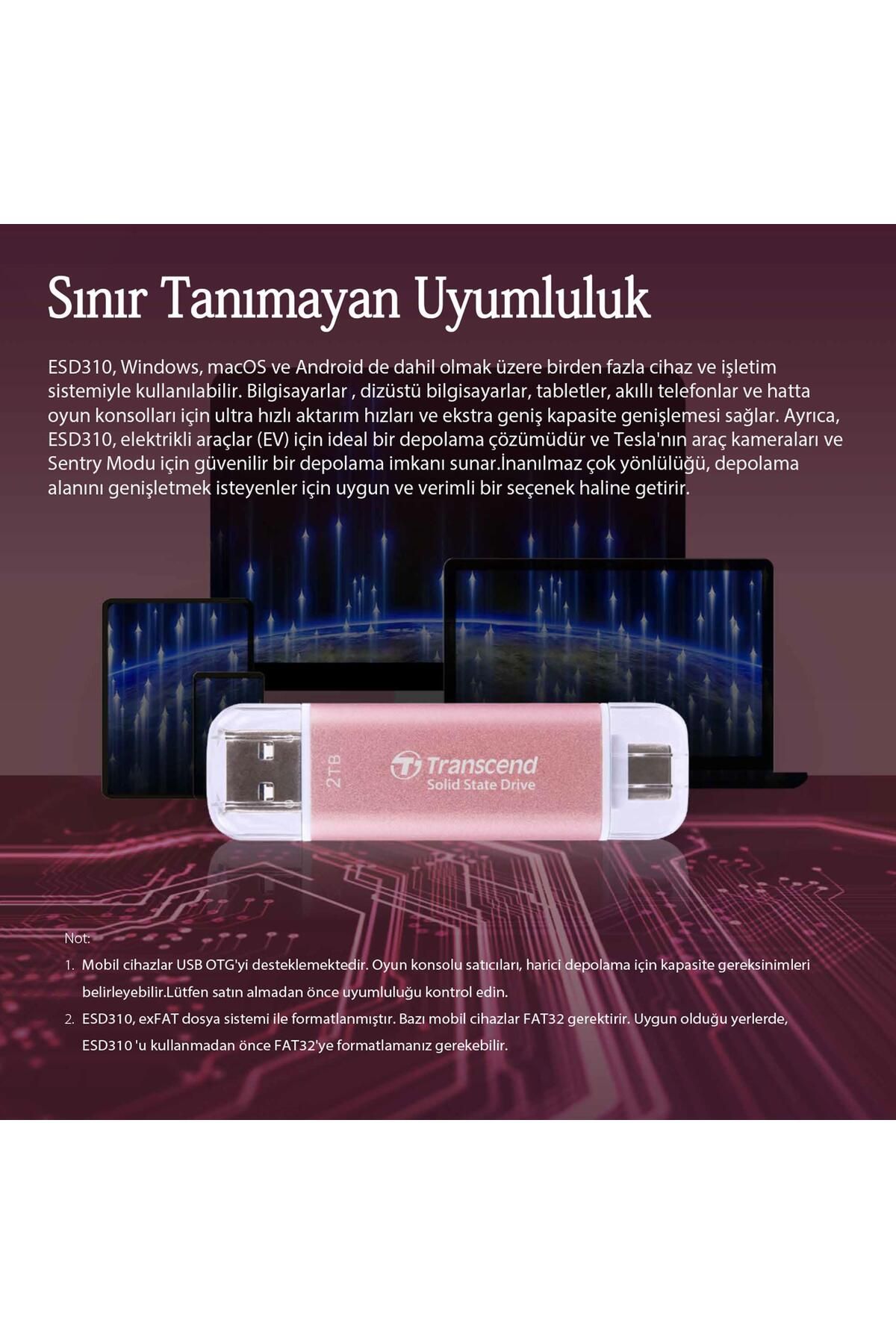 Transcend TS1TESD310P 1TB USB/Type-C 10Gbps Taşınabilir Harici SSD - Pembe