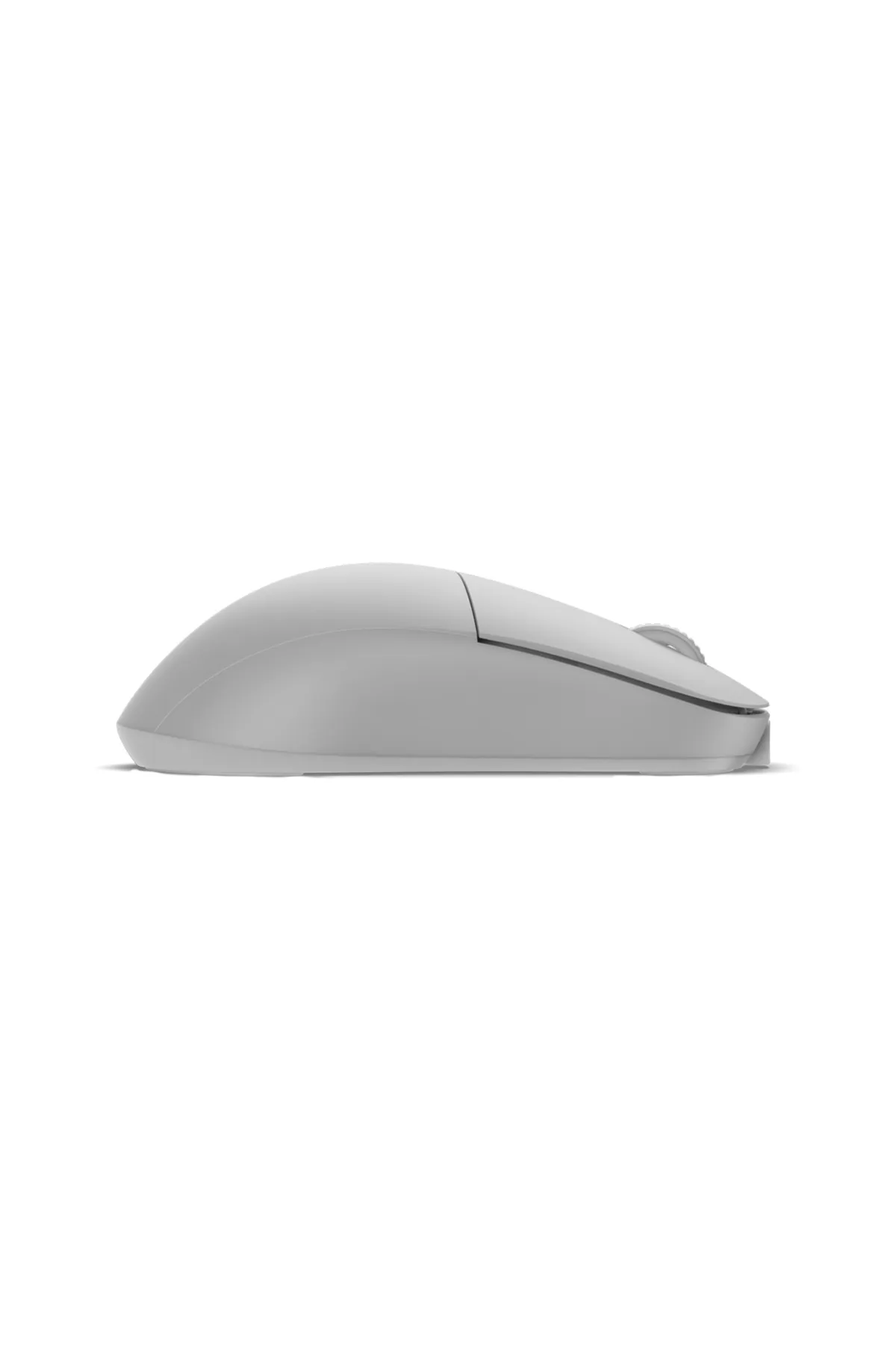 Endgame Gear XM2w 4k Kablosuz Oyuncu Mouse - White Frost